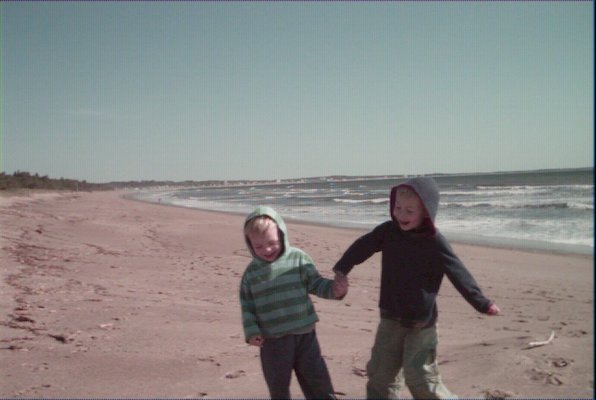 Ben - Tim and Cole on the beach