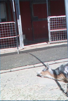 IMG_0923 (06-04-2008 20:19)