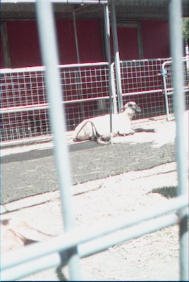 IMG_0924 (06-04-2008 20:19)