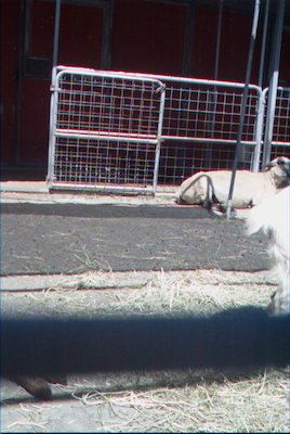 IMG_0925 (06-04-2008 20:19)