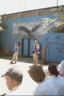 IMG_0931 (06-04-2008 20:20)