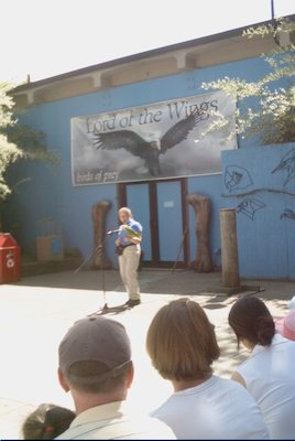 IMG_0932 (06-04-2008 20:20)