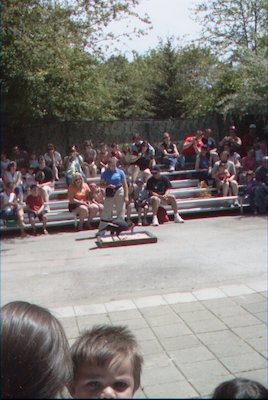 IMG_0933 (06-04-2008 20:20)