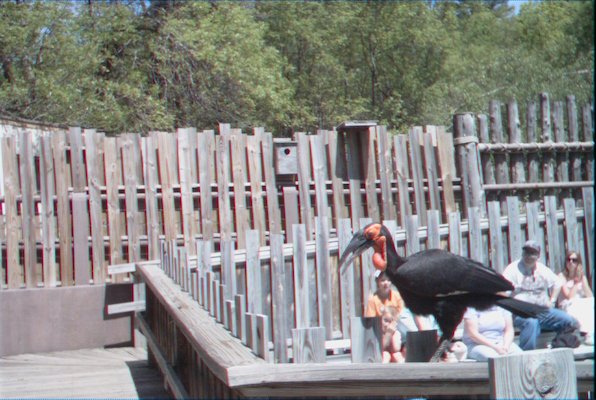 IMG_0934 (06-04-2008 20:17)