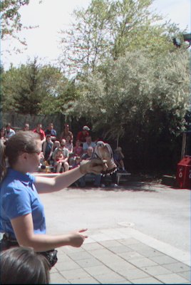 IMG_0935 (06-04-2008 20:20)