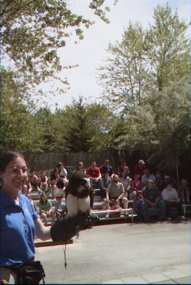 IMG_0937 (06-04-2008 20:20)