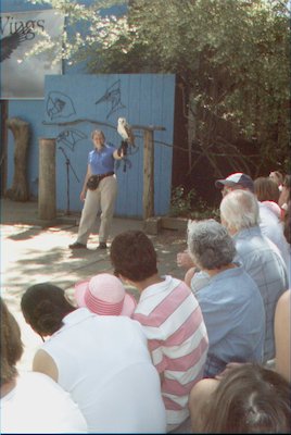 IMG_0938 (06-04-2008 20:20)