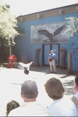 IMG_0939 (06-04-2008 20:21)