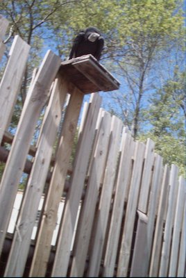 IMG_0941 (06-04-2008 20:21)