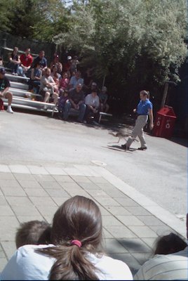 IMG_0942 (06-04-2008 20:21)