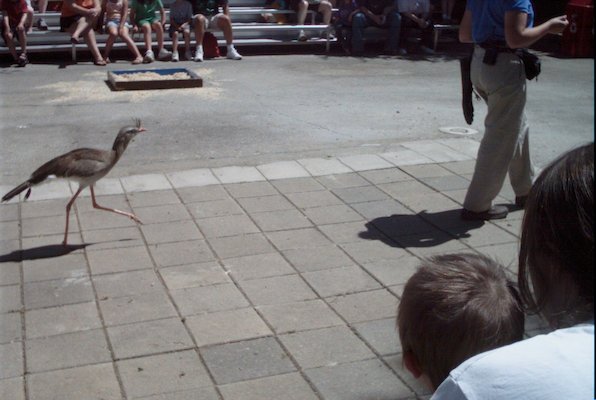 IMG_0943 (06-04-2008 20:18)