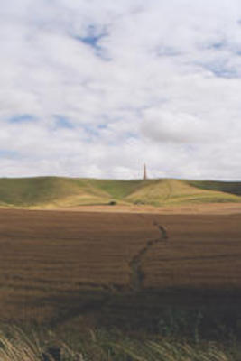 Salisbury plain monument & crop circle