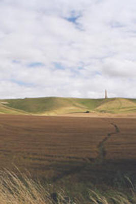 Salisbury plain monument & crop circle