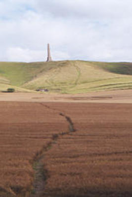 Salisbury plain monument & crop circle