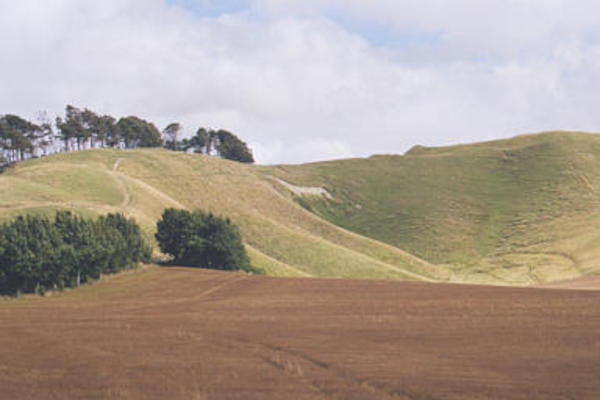 Salisbury plain white horse