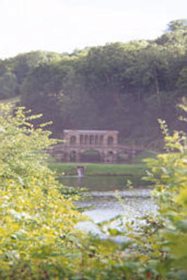 Bath garden & bridge