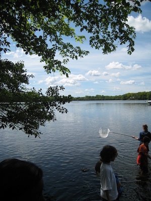 Lower Mystic (05-24-2008 09:32)