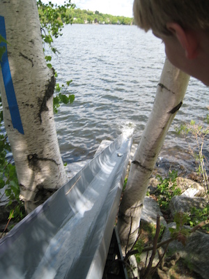 Herring sliding (05-24-2008 09:36)