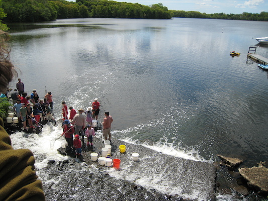 Lower Mystic (05-24-2008 09:39)