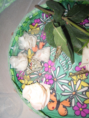 New butterflies (07-07-2008 06:12)