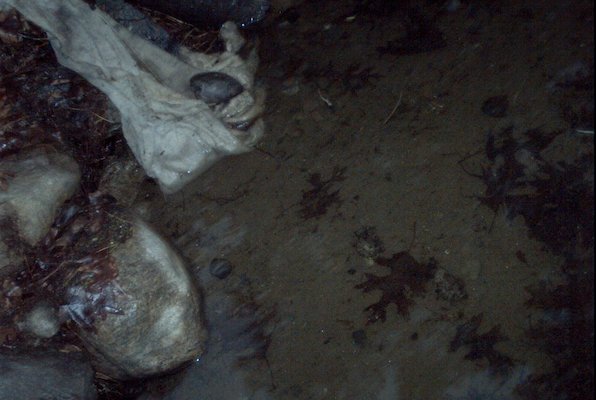 IMG_0944 (07-18-2008 20:29)