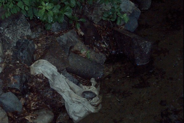 IMG_0945 (07-18-2008 20:29)