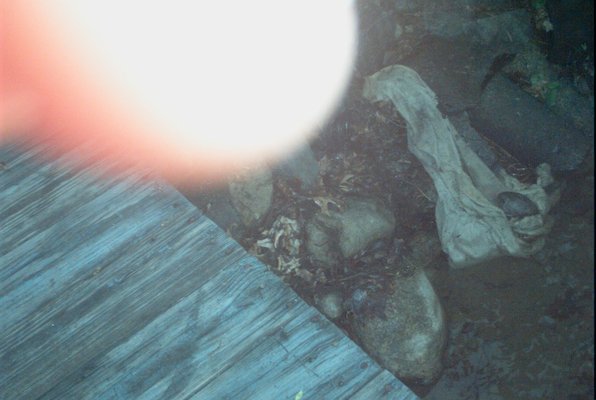 IMG_0947 (07-18-2008 20:30)