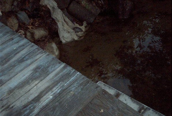 IMG_0948 (07-18-2008 20:30)