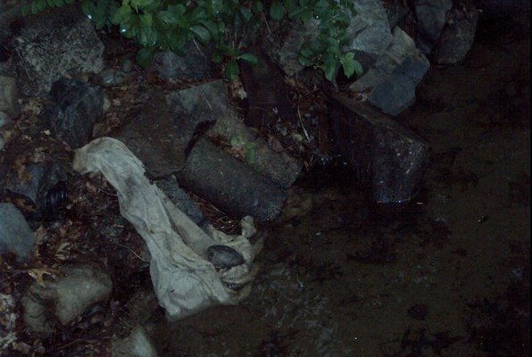 IMG_0949 (07-18-2008 20:30)