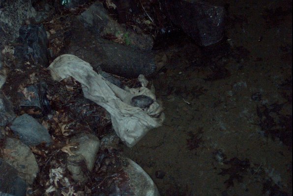 IMG_0950 (07-18-2008 20:30)