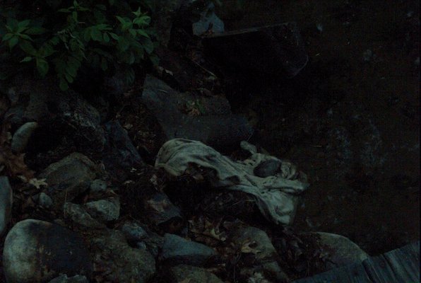 IMG_0951 (07-18-2008 20:30)