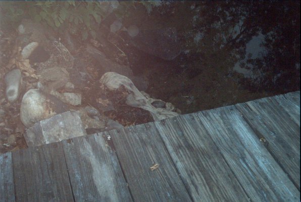 IMG_0952 (07-18-2008 20:30)