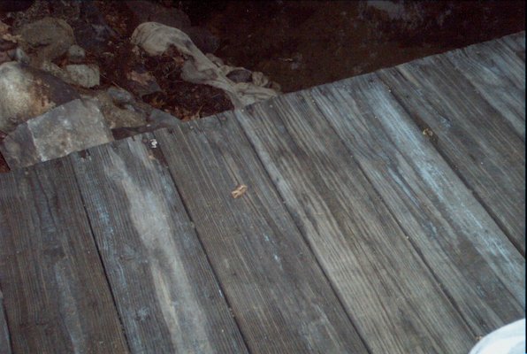 IMG_0953 (07-18-2008 20:30)