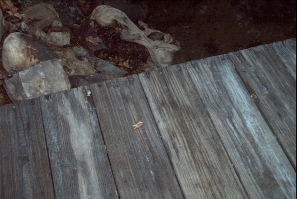 IMG_0954 (07-18-2008 20:30)