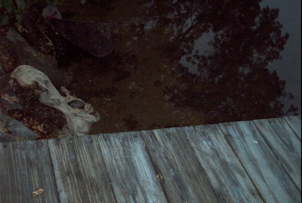 IMG_0955 (07-18-2008 20:30)