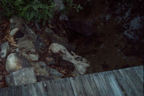 IMG_0956 (07-18-2008 20:31)