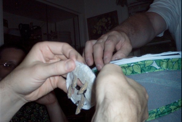 IMG_0964 (07-18-2008 20:31)