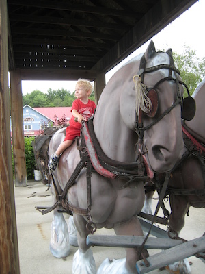 Cole on a horse (07-22-2008 09:17)