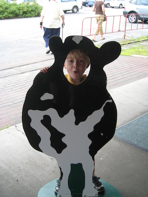 Tim cow (07-22-2008 10:45)