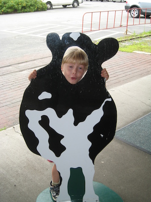 Tim cow (07-22-2008 10:45)