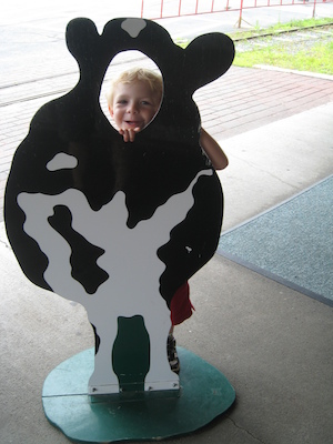 Cole cow (07-22-2008 10:45)