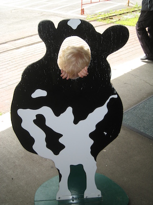 Cole cow (07-22-2008 10:46)