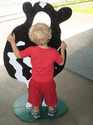 Cole cow (07-22-2008 10:46)