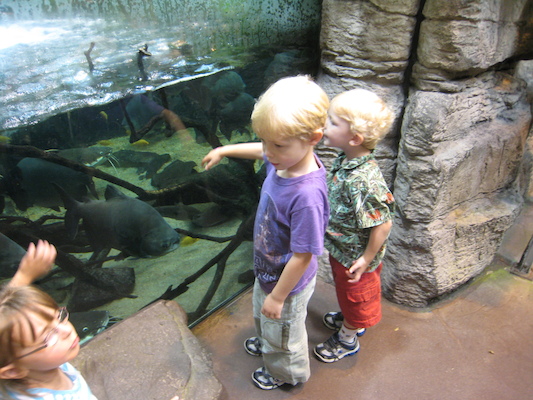 Pirhana with Tim and Cole at the Biodome (07-23-2008 08:42)