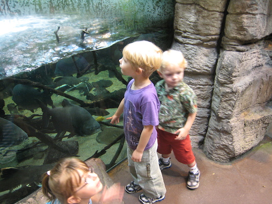 Pirhana with Tim and Cole at the Biodome (07-23-2008 08:43)