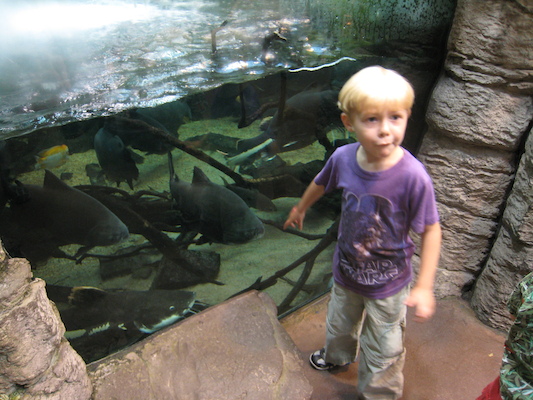 Pirhana with Tim at the Biodome (07-23-2008 08:43)
