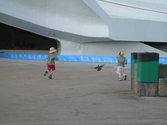Tim and Cole chasing a pidgeon (07-25-2008 07:56)