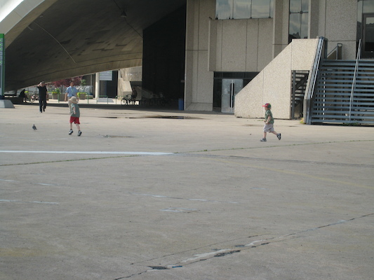Tim and Cole chasing a pidgeon (07-25-2008 07:56)