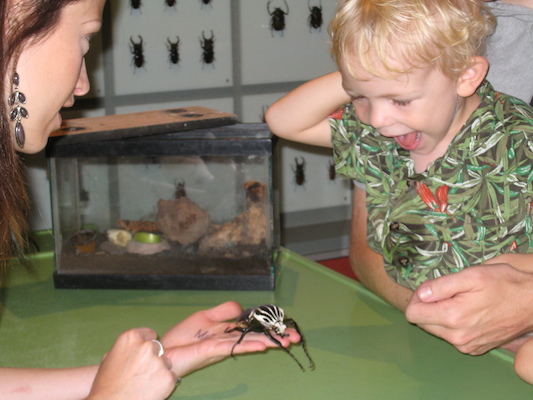 Cole looking at a beatle at the Insectarium (07-25-2008 09:08)
