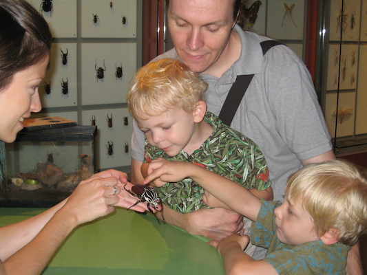 Cole, Ben and Tim looking at a beatle at the Insectarium (07-25-2008 09:08)